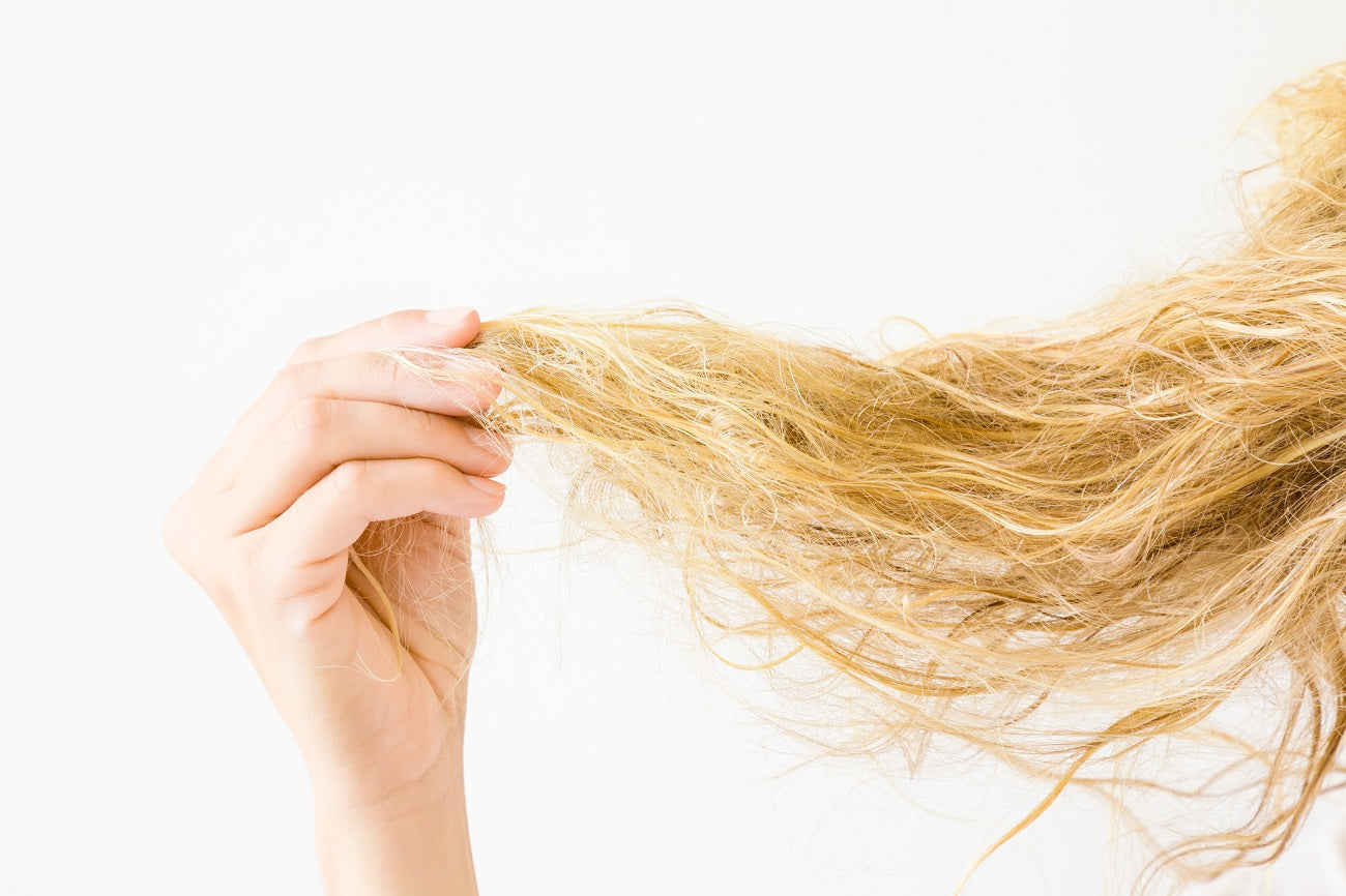 How To Recover From A Dry Hair Disaster, Dry Hair, Frizzy Hair